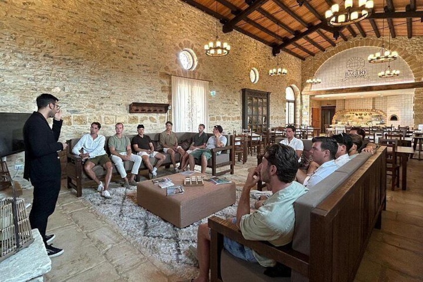Walk in olive grove and Tasting 2