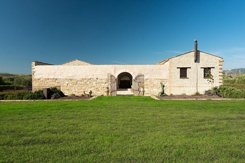 Walk in olive grove and Tasting 2