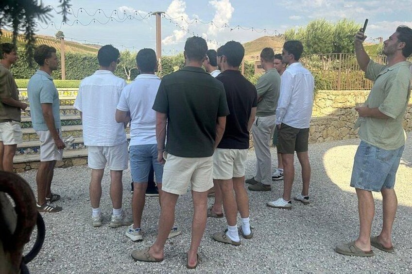 Walk in olive grove and Tasting 5
