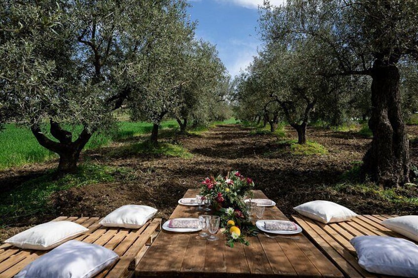 colazione all'esterno 4
