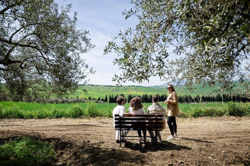 di fronte il grano 2