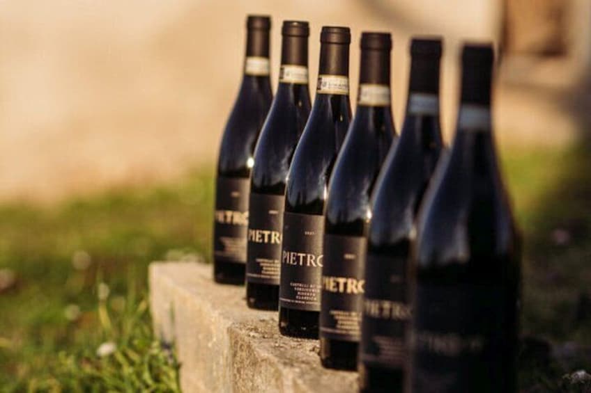 Explore the Richness of Marche Wine Flavors 2