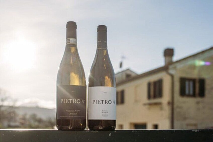 Explore the Richness of Marche Wine Flavors 4