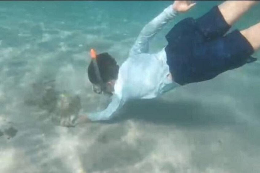 White Sand Beach Jaco Snorkel Adventure with Monkeys 1