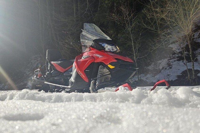 ATV, Snowmobile Private Day Trip from Bucharest 4