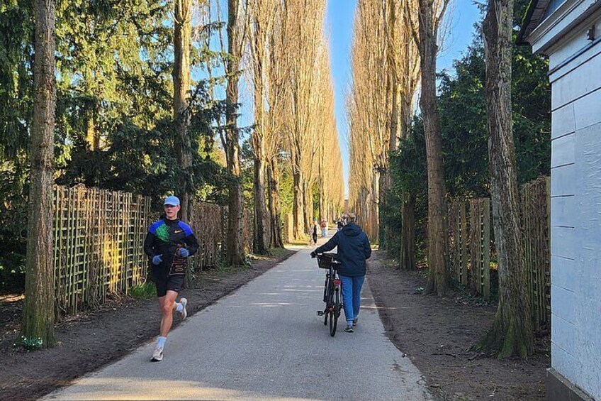 Una persona corriendo y otra en bicicleta por un sendero bordeado de árboles. 2