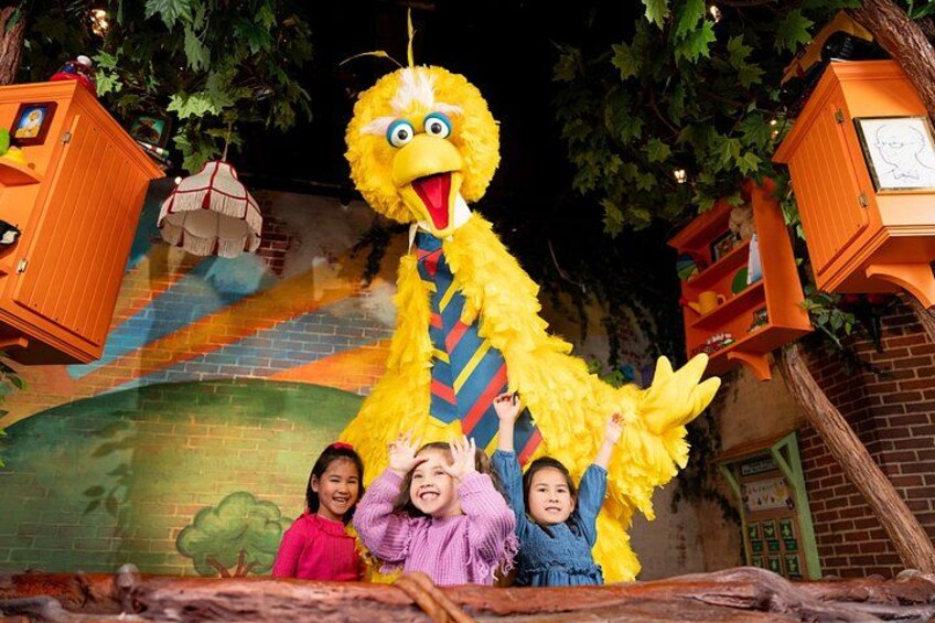 American Dream Sesame Street Learn and Play Ticket 1