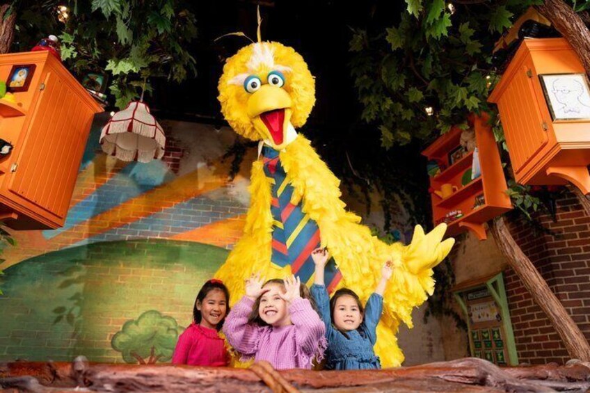 American Dream Sesame Street Learn and Play Ticket 1