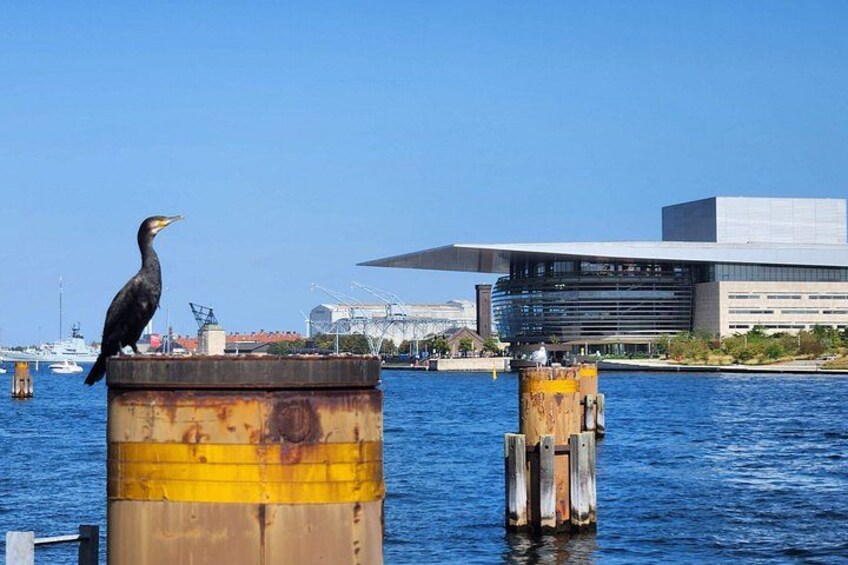 Walk & Canal Tour: Copenhagen Highlights + Changing of the Guards 2