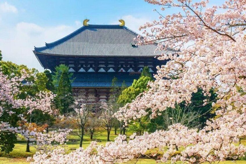 A traditional Japanese building with a tiled roof, surrounded by cherry blossom trees. 4