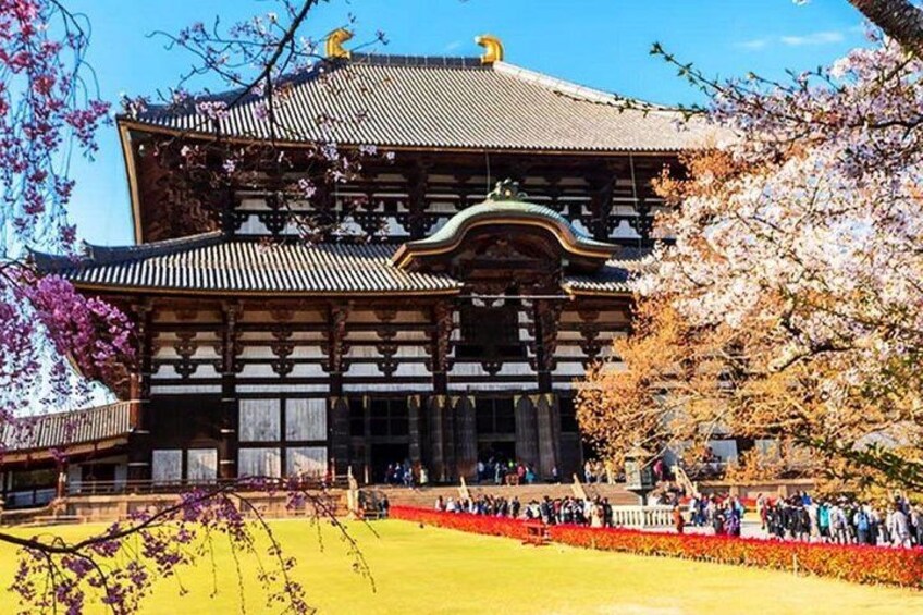 A traditional Japanese building with a tiled roof and wooden structure, surrounded by cherry blossoms and a crowd of people. 5