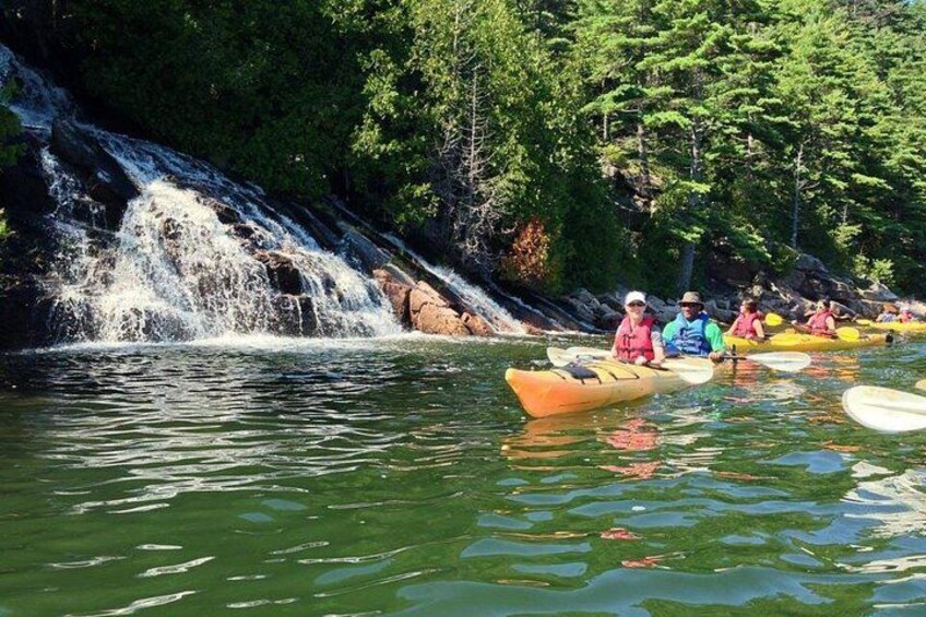 Aqua Safari Kayak tour departing Southwest Harbor 3