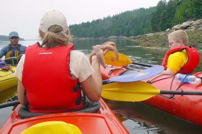 Aqua Safari Kayak tour departing Southwest Harbor 2