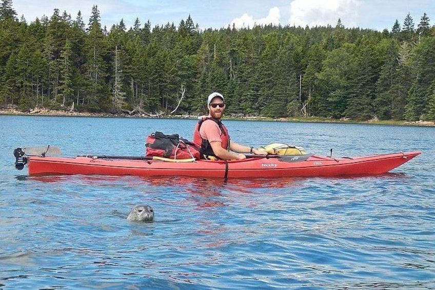 Aqua Safari Kayak tour departing Southwest Harbor 3
