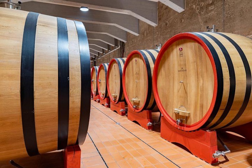 Wine Museum E-bike&Wine 3
