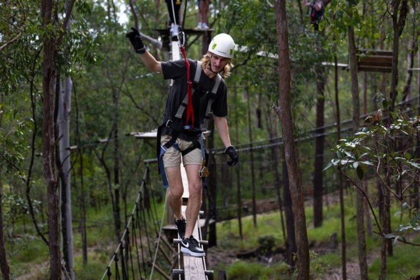 Tamborine Mountain High Ropes and Zipline Adventure Park 3