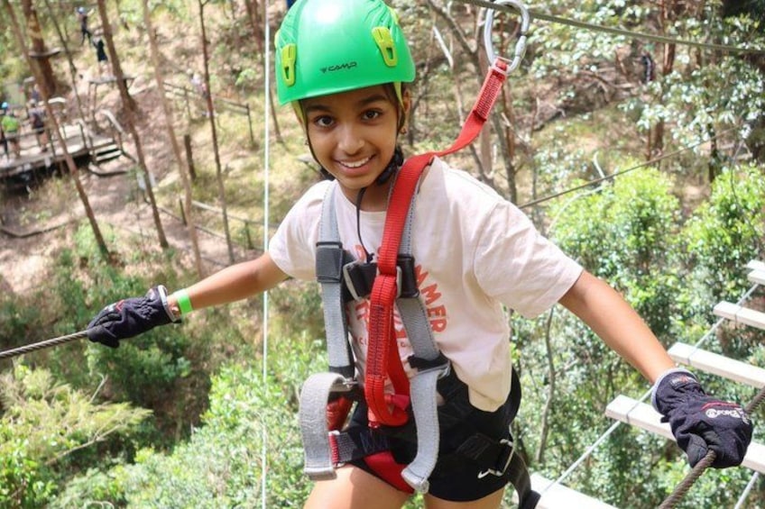 Tamborine Mountain High Ropes and Zipline Adventure Park 2