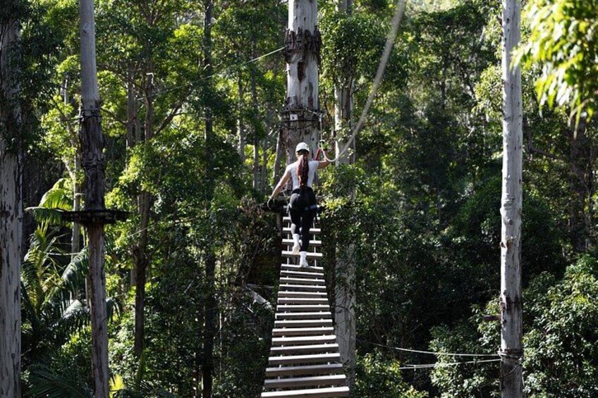 Beautiful natural rainforest 2
