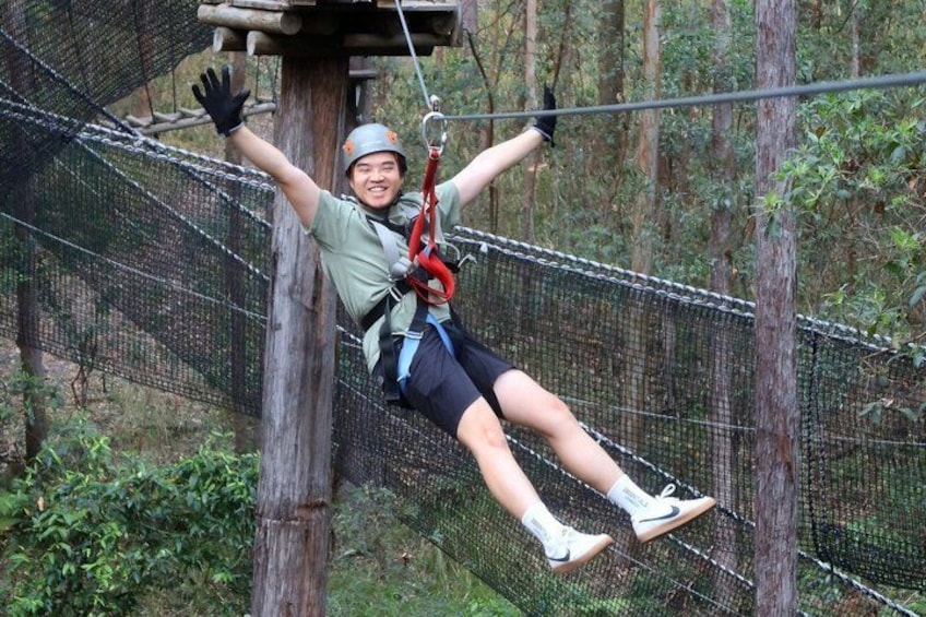 Tamborine Mountain High Ropes and Zipline Adventure Park 4
