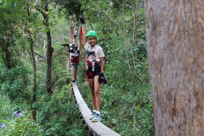 Tamborine Mountain High Ropes and Zipline Adventure Park 3