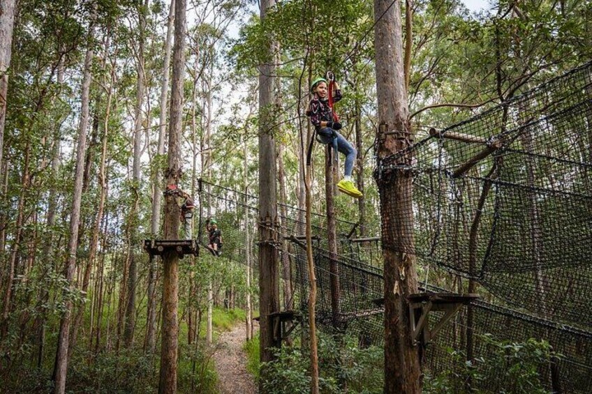 Connect with Nature 2