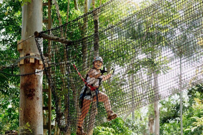 Tamborine Mountain High Ropes and Zipline Adventure Park 4