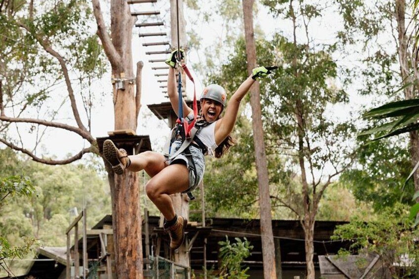 Tamborine Mountain High Ropes and Zipline Adventure Park 2