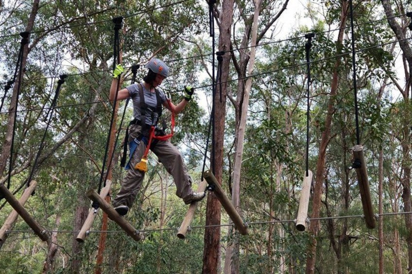 Tamborine Mountain High Ropes and Zipline Adventure Park 5