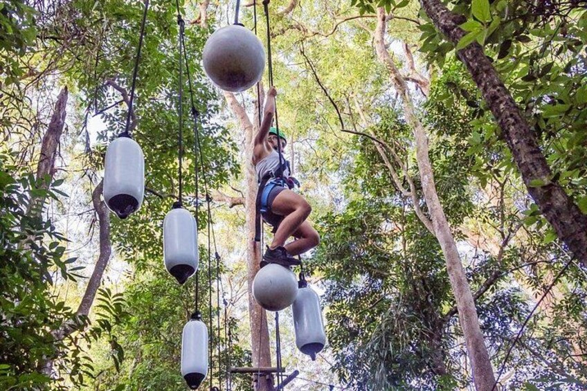 Sunshine Coast High Ropes and Zipline Adventure Park 2