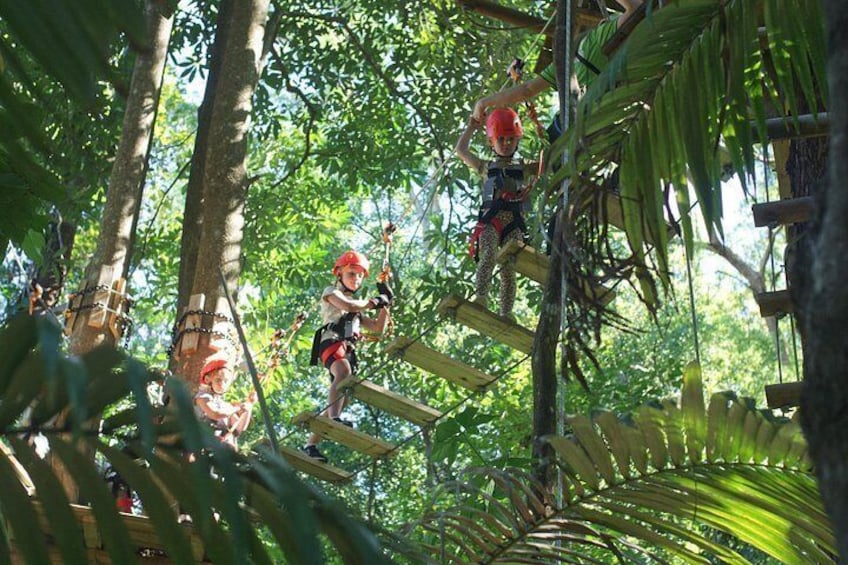 Sunshine Coast High Ropes and Zipline Adventure Park 2