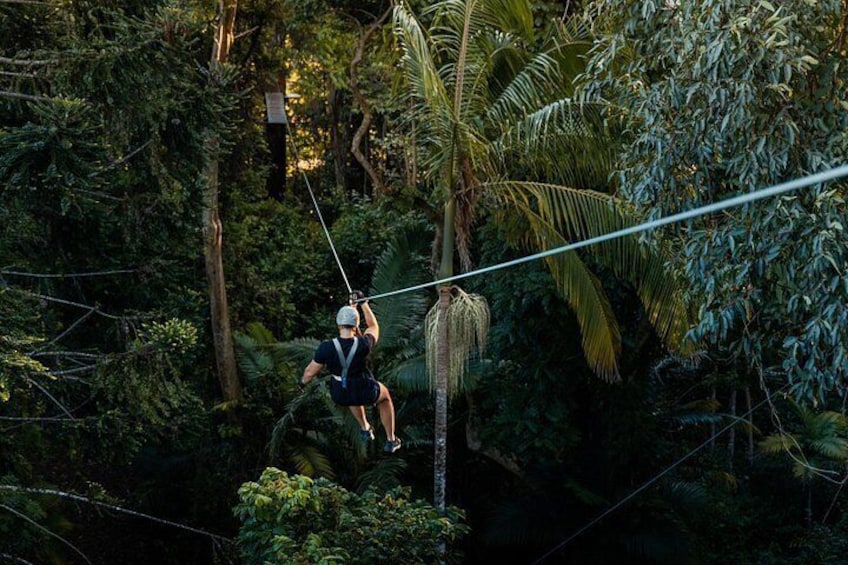 Sunshine Coast High Ropes and Zipline Adventure Park 4