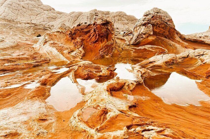 White Pocket Off-Road & Guided Hike Adventure (Small Group) 3