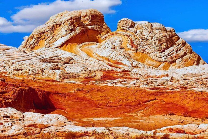 White Pocket Off-Road & Guided Hike Adventure (Small Group) 2