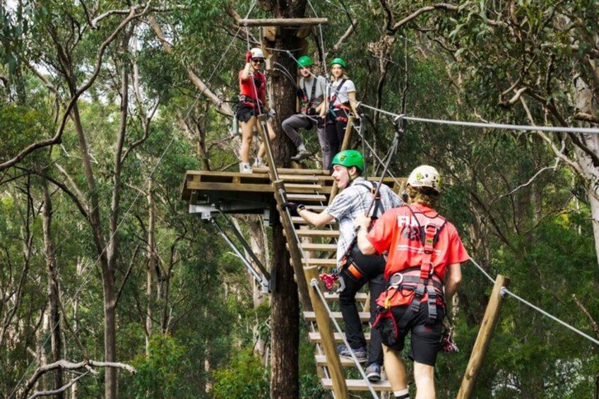Gold Coast Canyon Flyer Zipline Tour 3