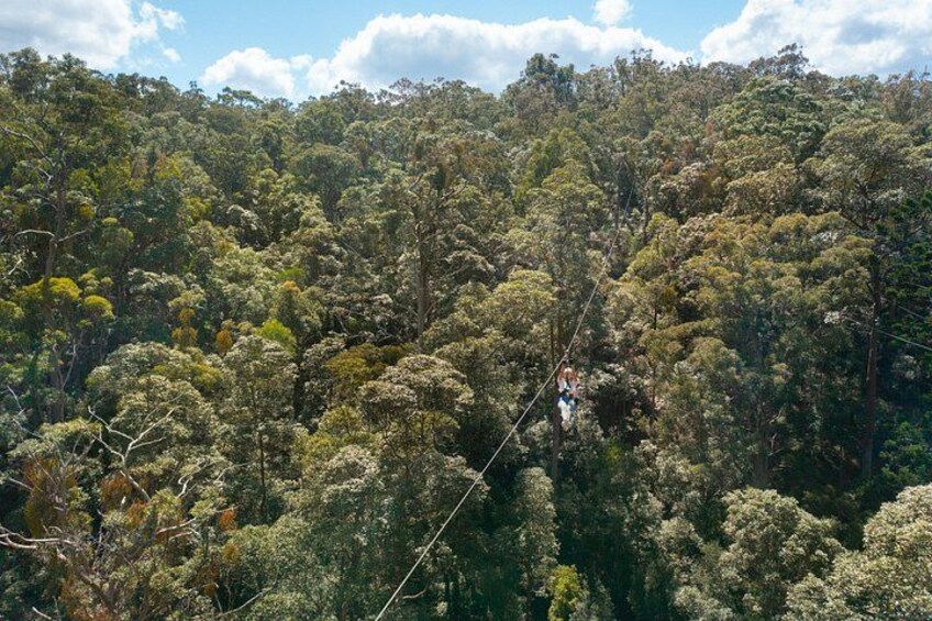 Gold Coast Canyon Flyer Zipline Tour 2