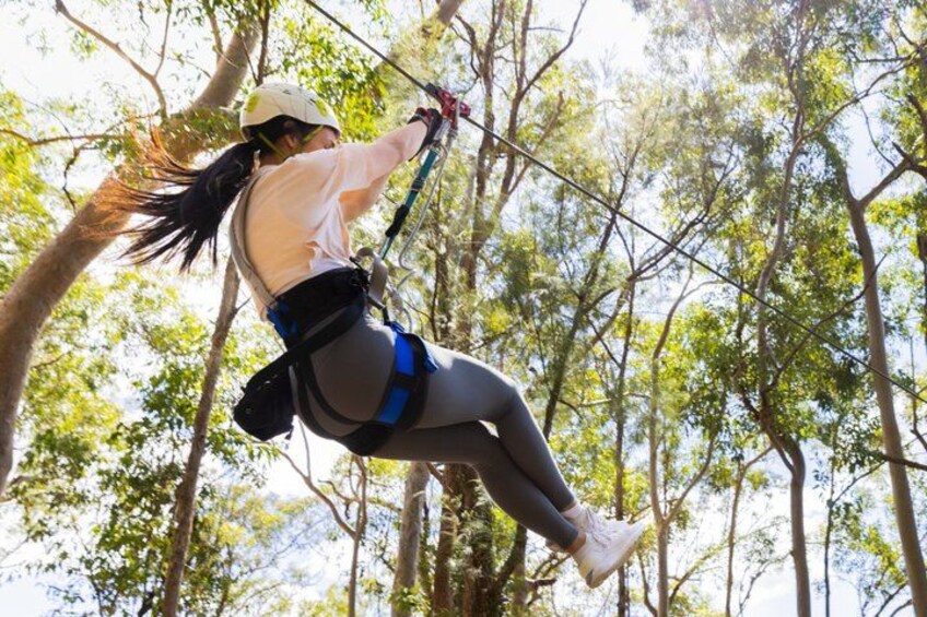 Gold Coast Canyon Flyer Zipline Tour 2