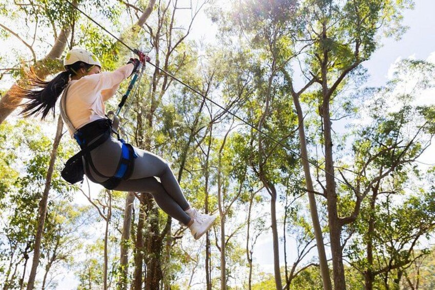 Gold Coast Canyon Flyer Zipline Tour 3