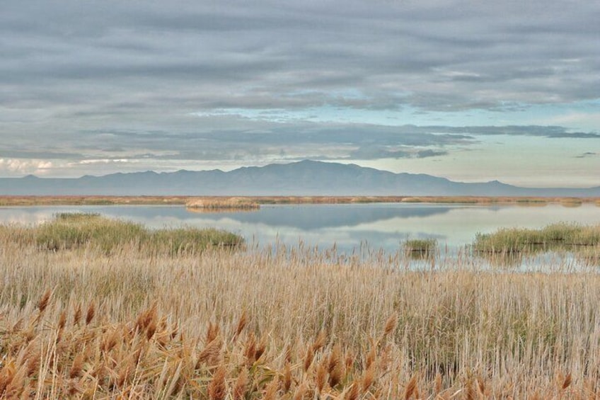 Antelope Island across the water 2