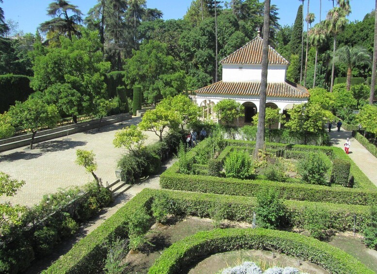 Picture 9 for Activity Seville: Real Alcazar Tour 5