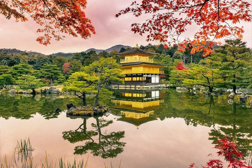 Kyoto Top Four Highlights Day Trip from Osaka or Kyoto 5