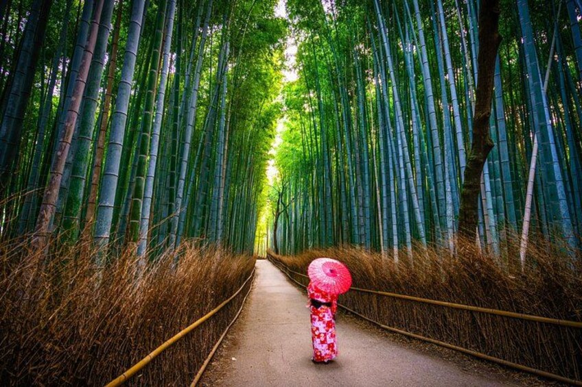A pathway flanked by tall bamboo trees, a person with a red umbrella, and a yellow railing. 5