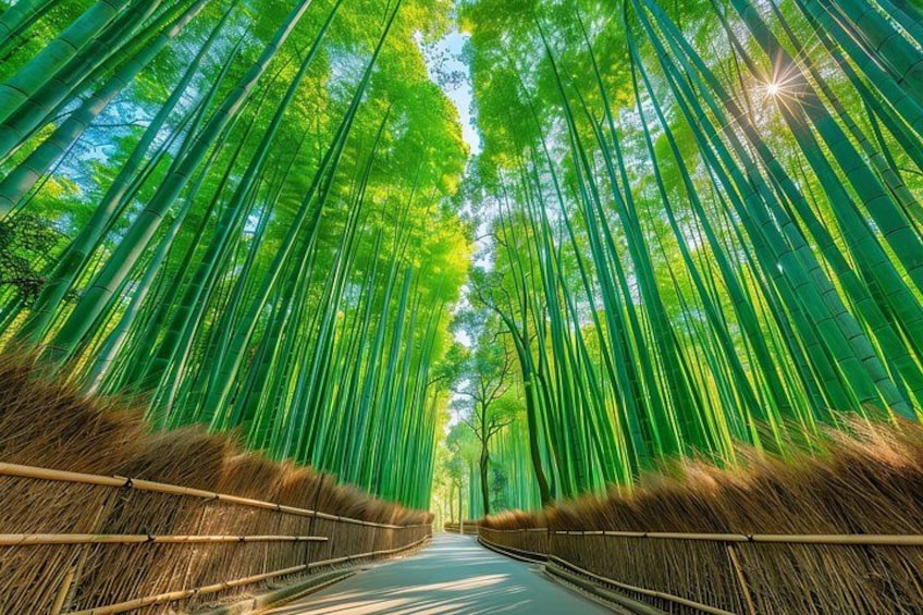 Kyoto Top Four Highlights Day Trip from Osaka or Kyoto 4