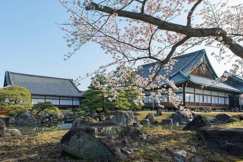 Kyoto Top Four Highlights Day Trip from Osaka or Kyoto 2