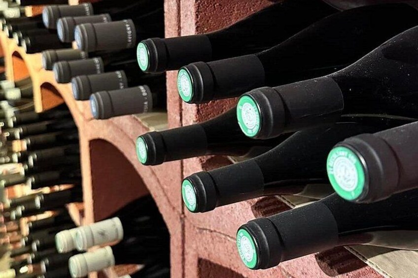 Tasting 5 Burgundy wines granted from regional cheeses 3