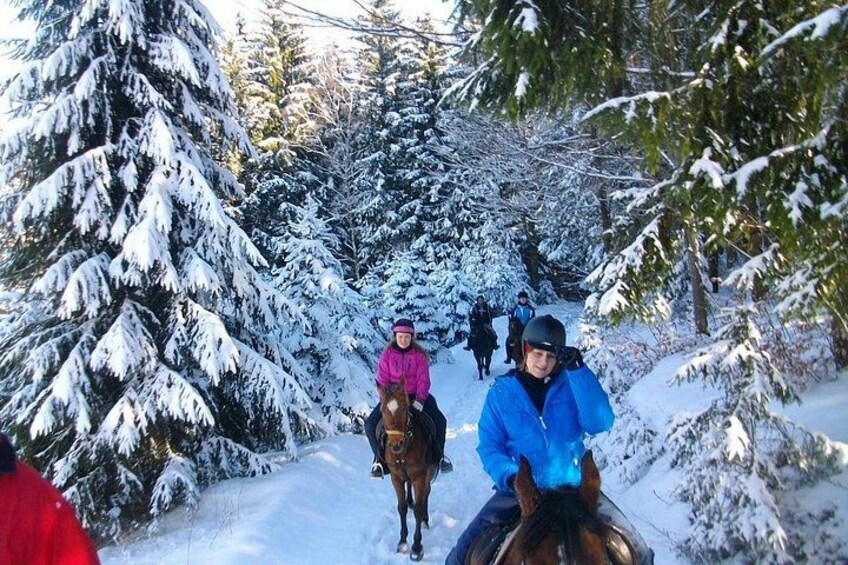 Horse Riding in Bled 5