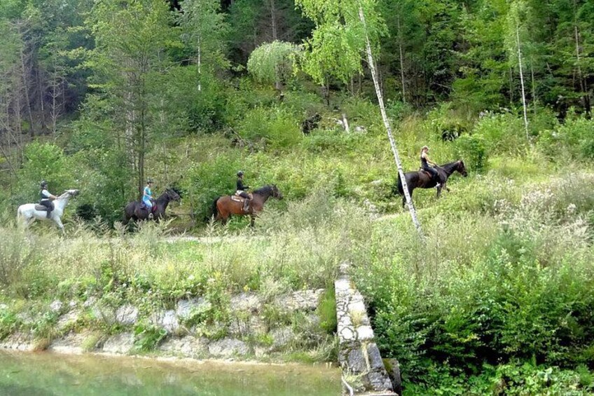 Horse Riding in Bled 3