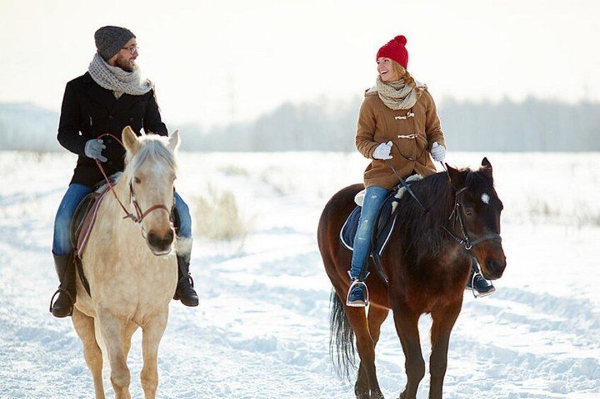 Horse Riding in Bled 4