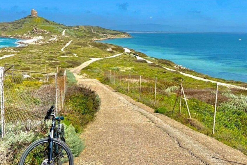From Oristano: bike tour in the Sinis Peninsula 5