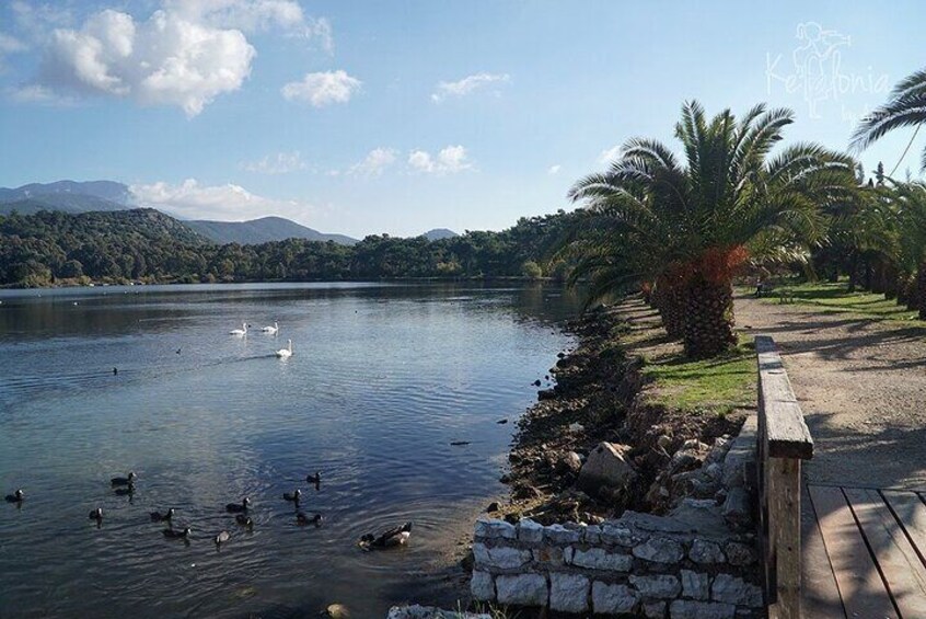 Shore Excursion Walking Tour in Argostoli City 2