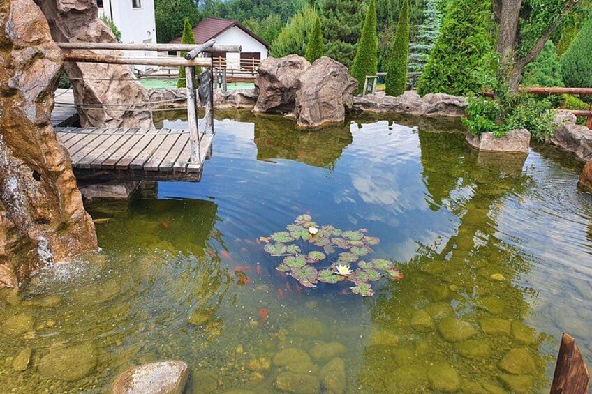Executive Dracula Day Trip - See Bran & Peles Castle, Brasov from Bucharest 4